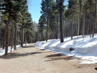 Wildfire Preparedness: Make a Risk Assessment, Mitigation Strategy, and Evacuation Plan Image